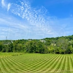 Big League Lawns PEDHQZ2F36