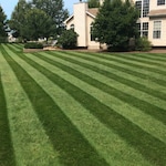 Big League Lawns PEDTTC39