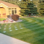 Big League Lawns PED_RPM20_TRRWD