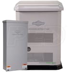 Briggs & Stratton 040743