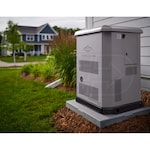 Briggs & Stratton 040743