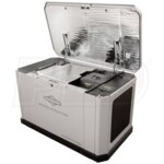 Briggs & Stratton 040806