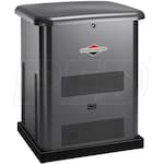 Briggs & Stratton 40351