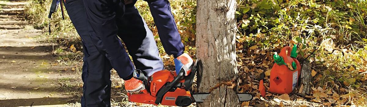 Chainsaw Buyer's Guide