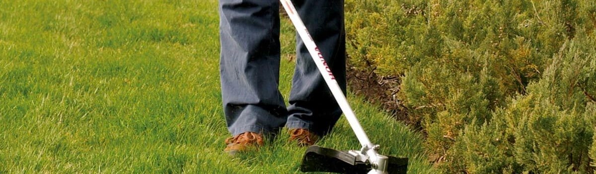 String Trimmer Buyer's Guide