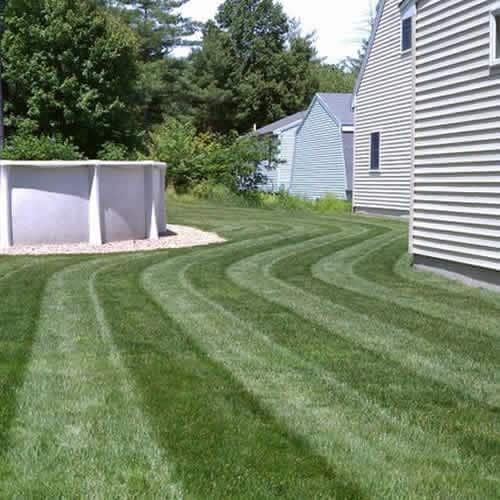 CheckMate 20 Lawn Striping Kit For Honda HRR Series 