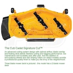 Cub Cadet 17AGCACN010