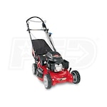 Toro 20194