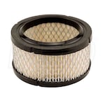 Ingersoll Rand OEM After Filter Element for Ingersoll Rand Reciprocating Air Compressor
