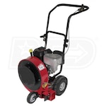 Briggs & Stratton LBC6151BV 205cc 4-Cycle Walk Behind Leaf Blower