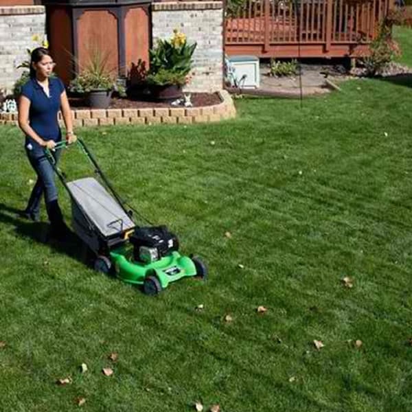 Lawn boy riding online mower