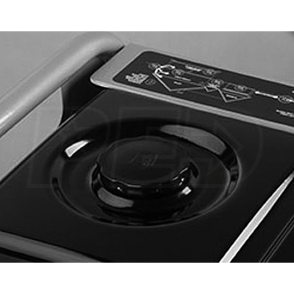 Briggs & Stratton 30467