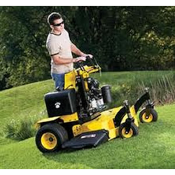 Great dane stand on mower sale