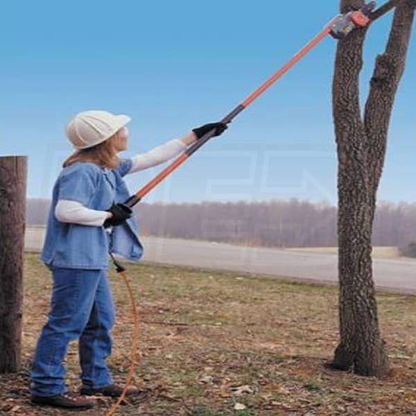 Remington tree on sale pole saw